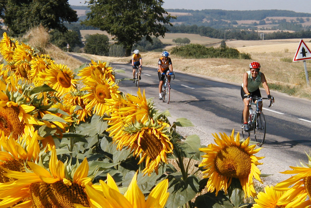Tour de France, Cycling Culture, Roads & Bike Paths